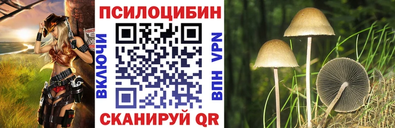 Купить  Конаково  Псилоцибиновые грибы мухоморы 